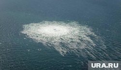 Задержан еще один украинец подозреваемый в подрыве «Северных потоков»: что известно о нем и ходе расследования