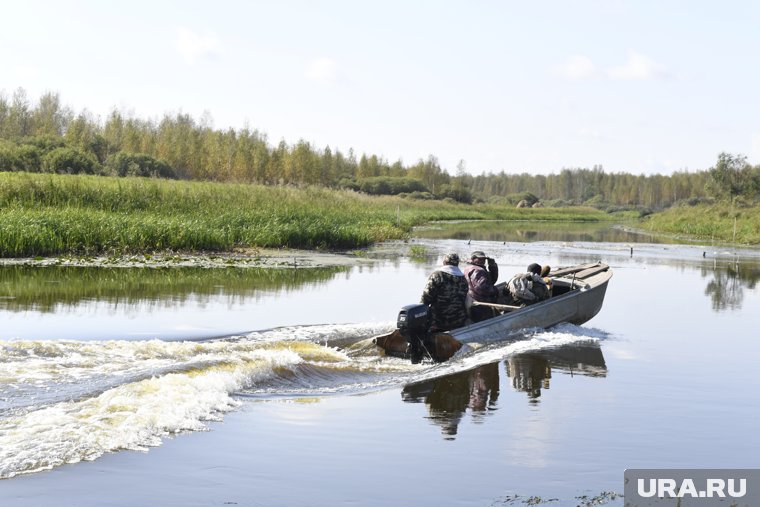 Власти ХМАО анонсировали открытие сезона охоты на дичь
