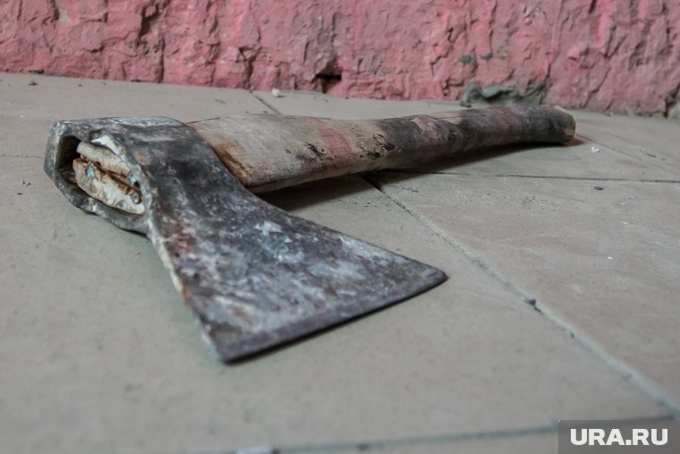 «Поместила голову в сервант»: появились подробности убийства детей топором в Канске