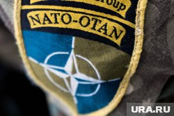 Bloomberg: в НАТО просят США пересмотреть приостановку поставок оружия ВСУ