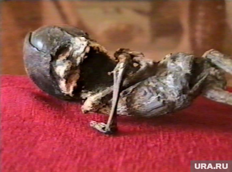 Силовик, державший в руках гуманоида Алешеньку, заговорил через 20 лет