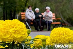 Кому повысят пенсии с 1 октября