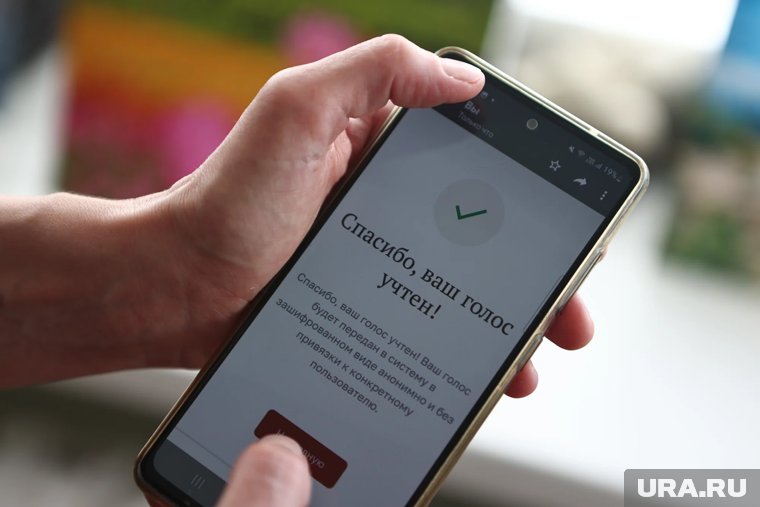 В избиркоме Курганской области объяснили, как проголосовать онлайн при слабом интернете