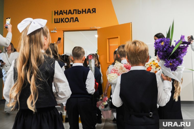 Кравцов прокомментировал идею отмены домашнего задания в школах