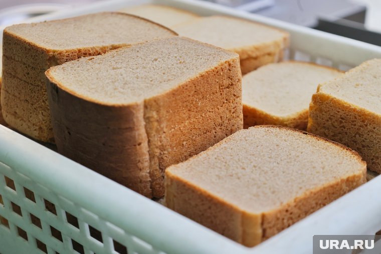 Грибок на стенах и неисправность системы: в курганской столовой обнаружили санитарные нарушения