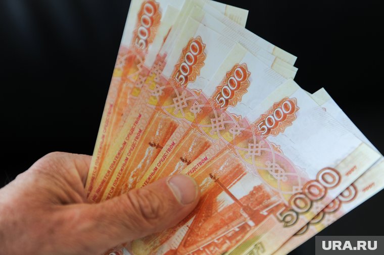 Депутат ГД рассказала, как изменятся зарплаты россиян в 2025 году