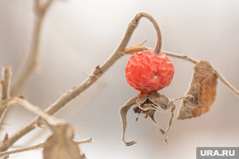 Какие праздники отмечают 1 октября 2025: что можно и нельзя делать в этот день