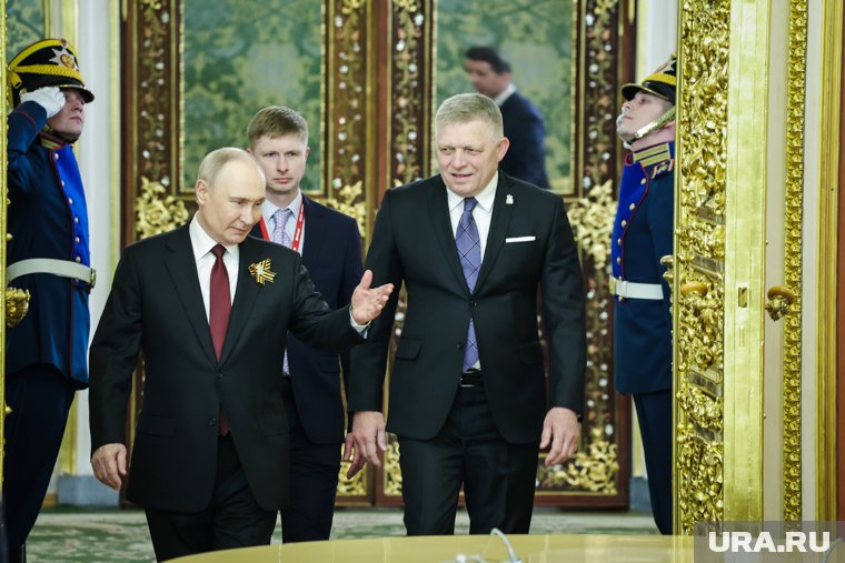 «Жаба, сидящая на дне колодца» и «специалисты по фильмам ужасов»: главные заявления Путина и Фицо