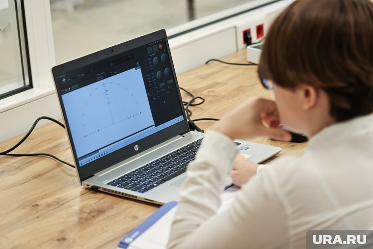 Филатов: мошенники начали убеждать людей скачивать программы удаленного доступа