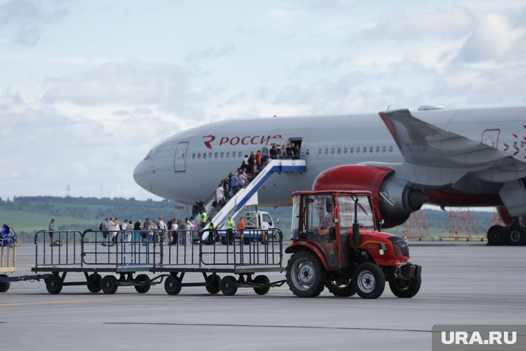 Сотни чемоданов россиян потеряли на рейсах Turkish Airlines: как найти свой багаж