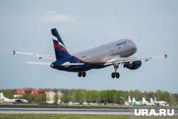 Крупнейший сбой в истории компании: что произошло с «Аэрофлотом» и как быть пассажирам
