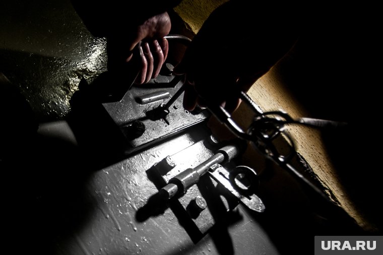 Мигранты, пытавшиеся подкупить следователя в Коркино, не смогли выйти на свободу