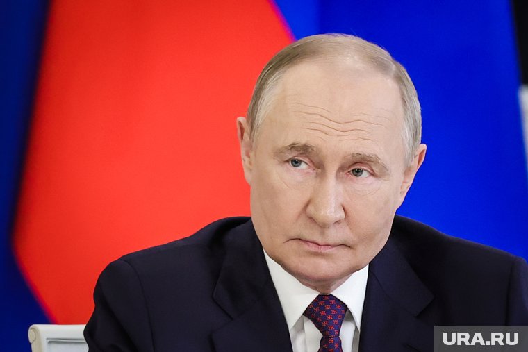 Картина в подарок и ящерица в зале: необычные детали переговоров Путина в Пекине