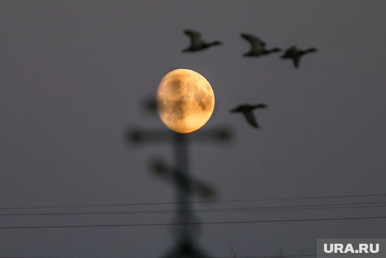 Какие праздники отмечают 7 октября 2025: что можно и нельзя делать