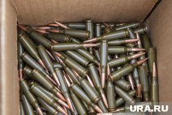 Курганец получил срок за хранение боеприпасов