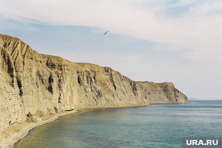 На Ямале сделали уникальные кадры лежбища атлантических моржей. Фото