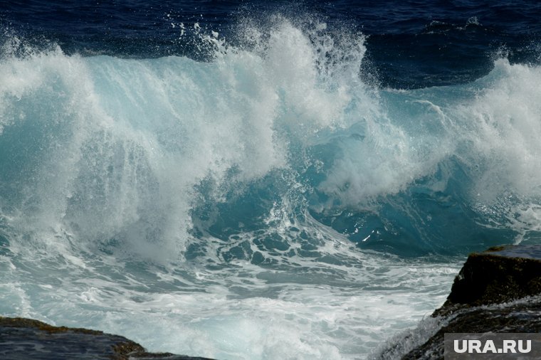 На Камчатке объявлена угроза цунами: как спастись от гигантской волны