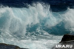 На Камчатке объявлена угроза цунами: как спастись от гигантской волны