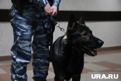 В Кургане массово эвакуируют школы и колледж из-за сообщений о минировании