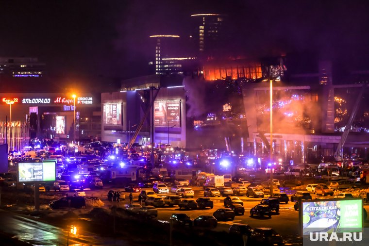 Путин наградил школьников, спасавших людей при теракте в «Крокусе»