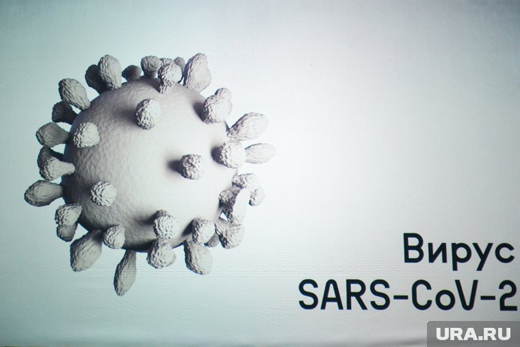 Высокая заразность и легкие симптомы: чем опасен новый вариант коронавируса «Стратус»