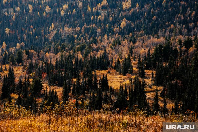 В Курганской области ожидается высокая пожароопасность