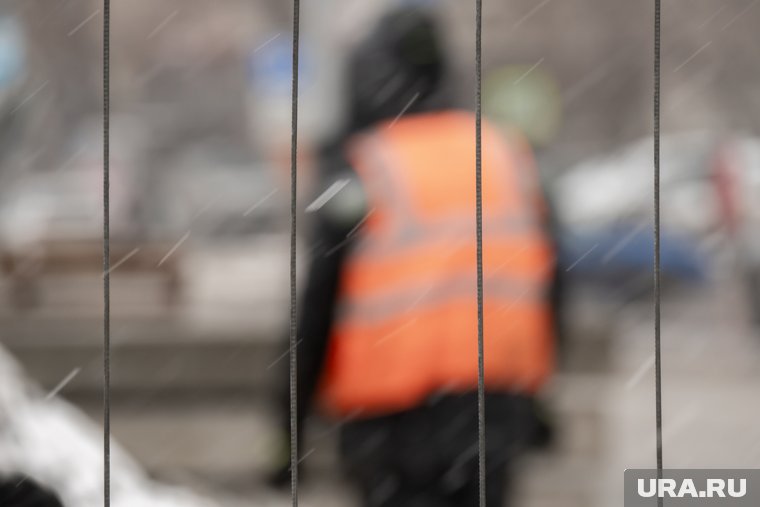 Мигранты стали чаще переезжать в сельскую местность Тюменской области