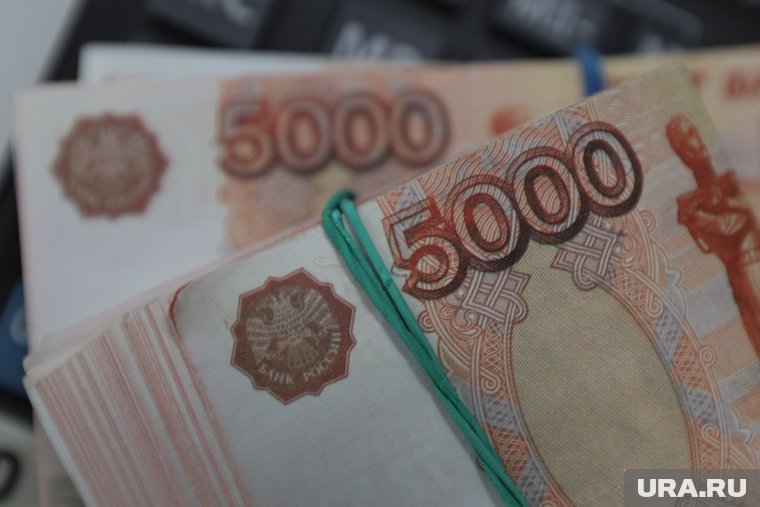 Курганский браконьер, бросивший машину и убитых косуль, получил крупный штраф