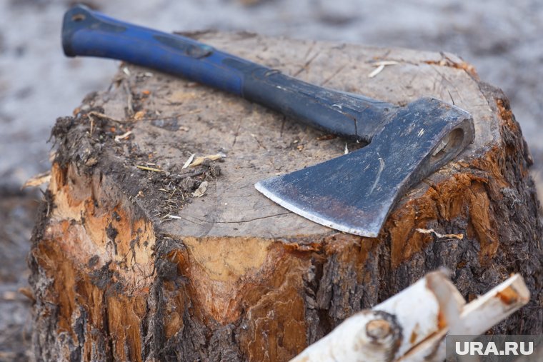 В Канске мать-шизофреник зарубила топором детей: как это произошло, что известно о семье