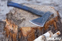 В Канске мать-шизофреник зарубила топором детей: как это произошло, что известно о семье