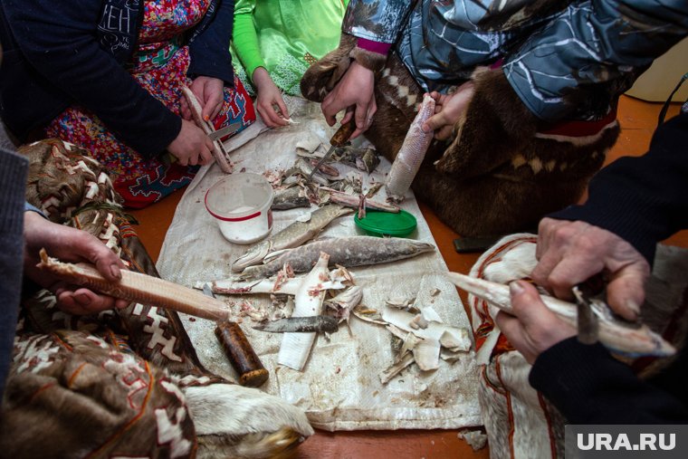 О вкусной и здоровой северной пище и не только: интервью с первым фудблогером Ямала