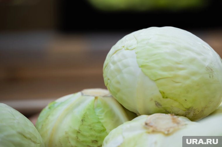 Как приготовить капусту на зиму: маринованная, квашеная, с яблоками и перцем