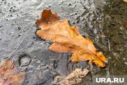 В Курганской области зафиксировали заморозки более минус 11 градусов