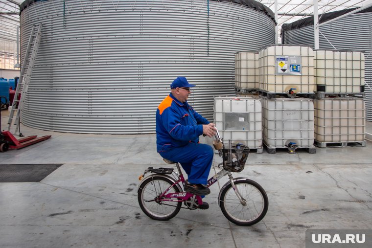 Тюменцев зовут в Южную Корею убирать мусор за 300 тысяч рублей