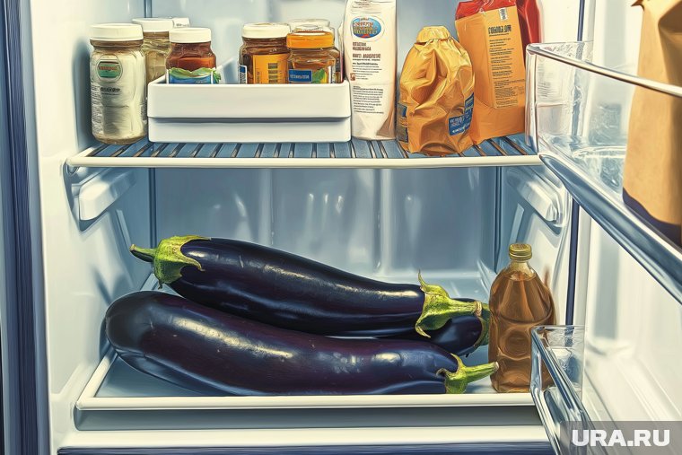 Когда собирать баклажаны и как их хранить: полная инструкция от садовода