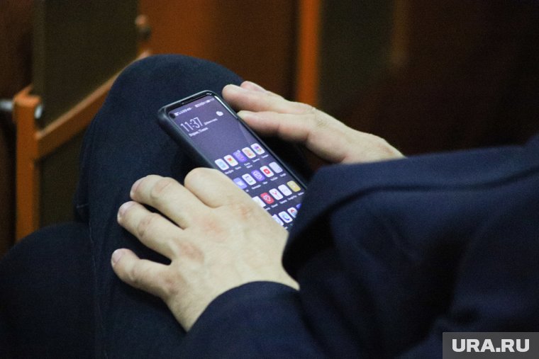 Любимые мемы и посты: что лайкают в социальных сетях курганские политики. Фото