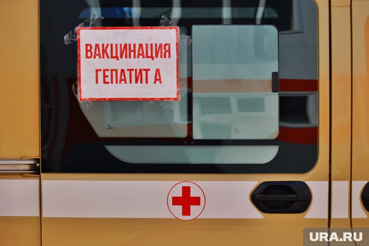 Курганцам рассказали, как обнаружить гепатит раньше, чем он разрушит печень