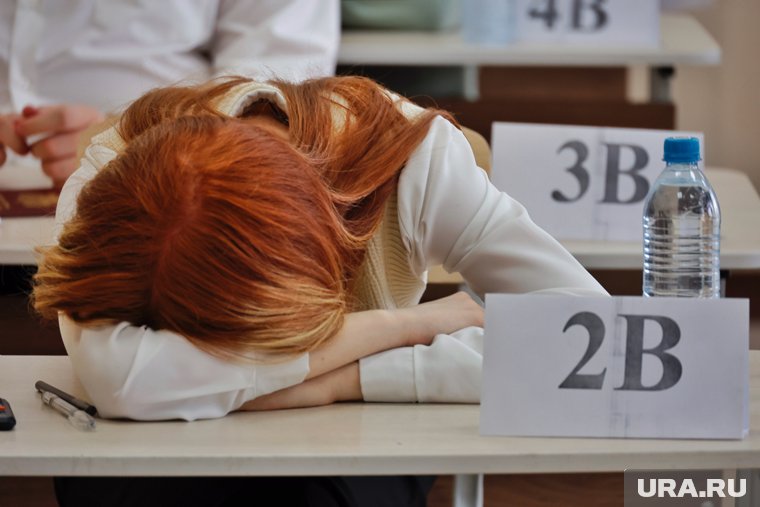 Справятся только отличники: тест по обществознанию — сдадите хотя бы на тройку?