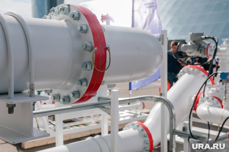 Путин и Си Цзиньпин поручили ускорить проект «Сила Сибири — 2»