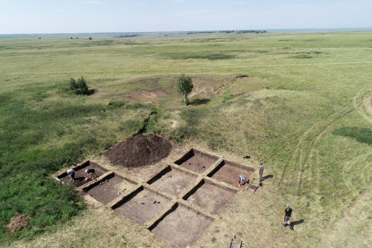 Останки лошадей бронзового века подсказали челябинцам торговые пути кочевников. Фото