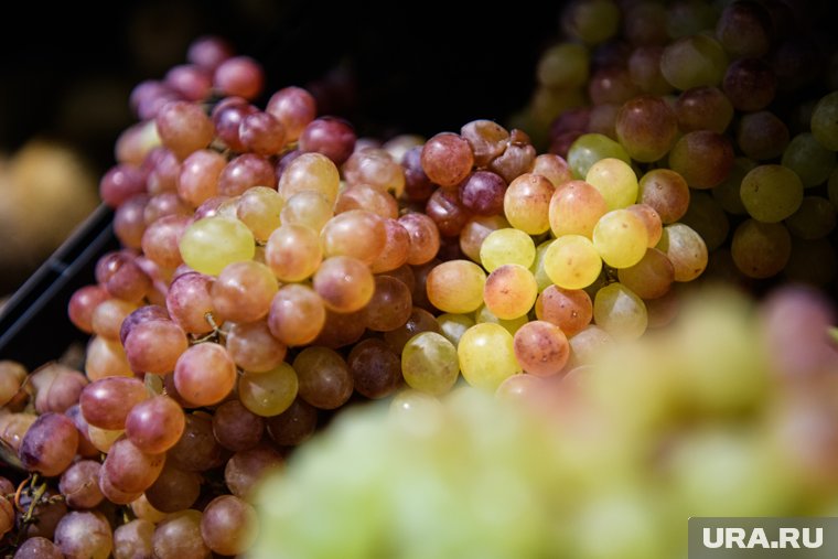 Ввезенные в Челябинскую область 20 тонн винограда полностью уничтожили. Фото