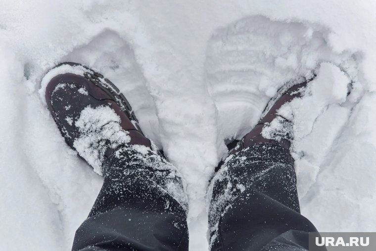 В Курганской области на выходных выпадет снег