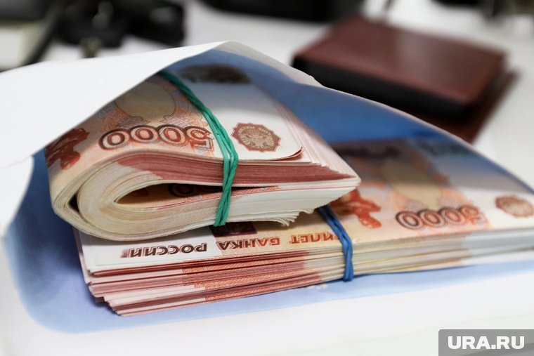 Курганского фермера обвиняют в махинациях с субсидиями на 3,3 миллиона рублей. Фото