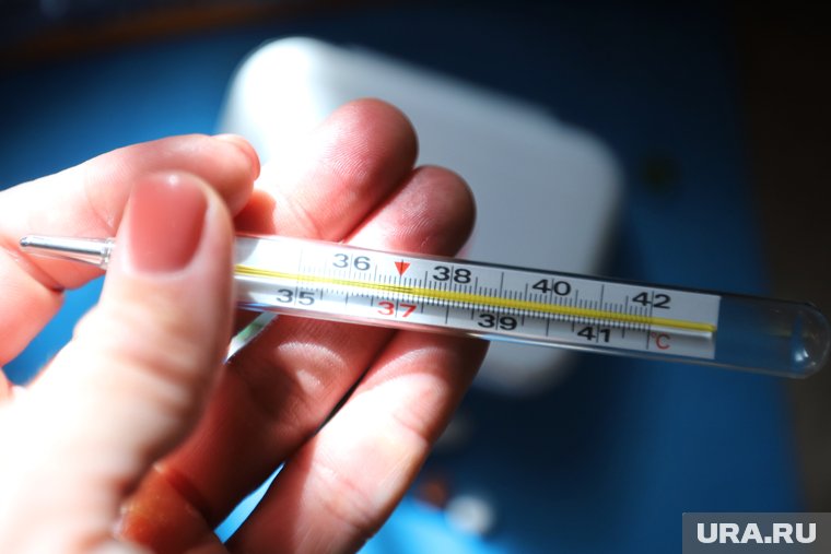 Минздрав предложил ввести комиссии для частоболеющих россиян: как оформить больничный лист в РФ