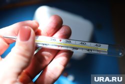 Россиянам рассказали, что больничный можно оформить и без болезни: все, что нужно знать