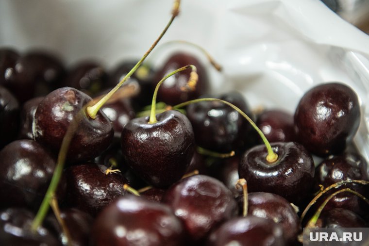 Компот, десерт и маффины: топ рецептов из сладкой черешни