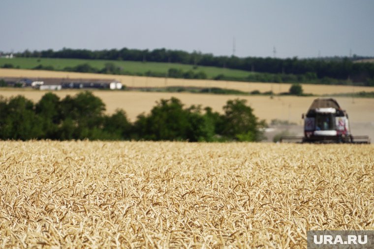 Мишустин: новые регионы РФ получат помощь в развитии сельских территорий
