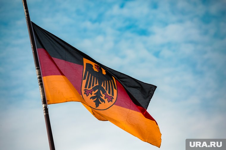 Симпатизирующую России «Альтернативу для Германии» признали экстремистской в ФРГ: что известно о партии