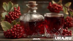 Калиновый ликер и настойка: простые рецепты для начинающих