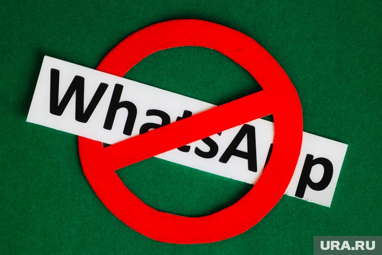 WhatsApp* «вне закона»: российский мессенджер MAX начинает вытеснять иностранных конкурентов